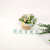 Artificial/Fake Flower Bonsai Hemp Rope Basin Small Flower Living Room Bedroom Study and Other Daily Use Ornaments