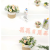 Artificial/Fake Flower Bonsai Hemp Rope Basin Small Flower Living Room Bedroom Study and Other Daily Use Ornaments