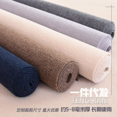 Thickened Brushed Whole Carpet Full-Covered Living Room Outdoor Balcony Room Carpet Bay Window Bedside Photo Napping Floor Mat