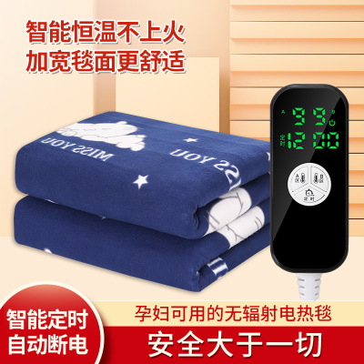 Electric Blanket Household Double Double Control Temperature Control Water Heating Electric Blanket Electric Heating Blanket