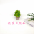 Artificial/Fake Flower Bonsai Pulp Basin Green Plant Leaves Small Tree Living Room Balcony Desk and Other Ornaments