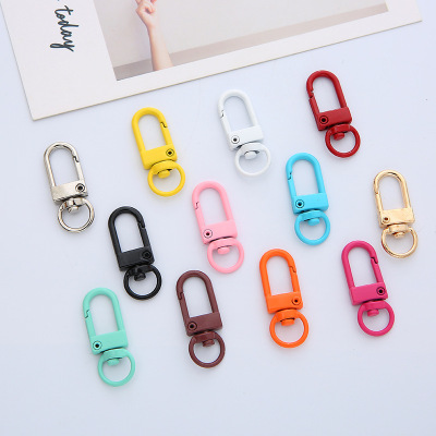 Paint for Metal Keychain Snap Hook Color Spray Paint U-Shaped Door Latch Hook Bag Pendant DIY Ornament Accessories