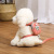 Teddy Hand Holding Rope Pet Backpack Bichon Cat Dog Breast Strap Dog Leash Dog Leash Snack Pack Cat Walking Rope