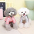 Pet Dog Clothes Teddy Pet Two-Leg Cotton-Padded Clothes Pet Clothing Winter New Waterproof 22 Waterproof Jacket