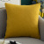 Cross-Border Amazon Home Holland Velvet Pillow Cover Simple Solid Color Sofa Throw Pillowcase Office Cushion Cover Wholesale