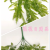 Artificial/Fake Flower Bonsai Wall Hanging Green Plant Leaves Living Room Dining Room Bedroom, Etc.