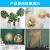 Manufacturers Produce Wrought Iron Japanese Banana Leaf Accessories Metal Crafts Leaves Decoration Decorative Painting Stamping Imitate Leaves