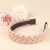 2021 Woven Grid BV Big Brand Wide Brim Hair Band Women's Korean Internet Influencer Hairpin Simple All-Match out Hair Accessories Headband