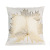 Foreign Trade Pillow Ins Nordic Style Square Short Plush Gilding Pillow Wholesale Gilding Sofa Cushion Car Cushion