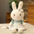 Plush Toy Pastoral Flower Cloth Cute Girl Princess Cute Little White Rabbit Doll Doll Bunny Rag Doll