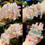 Cartoon Children's Bracelet Princess Glass Beaded Cute Girl Baby Bracelet Student Jewelry Bracelet Ornament