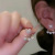 Internet Influencer Pearl Earrings New Accessories Korean Temperament Ear Stud Earring Long Fringe Earrings Wholesale