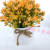 Artificial/Fake Flower Bonsai Plastic Basin Green Plant Living Room Dining Room Desk and Other Tables Ornaments