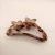 Korean Super Fairy Ins Style Leopard Print Flower Hair Clip Back Head Fixed Hairpin Grab Clip One Yuan Store Supply