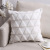 Home Double-Sided Plush Couch Pillow Cross-Border Amazon New Office Throw Pillowcase Solid Color Car Back Cushion Covers