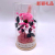 Factory Direct Sales Preserved Fresh Flower Wishing Bottle LED Light Decoration Valentine's Day Birthday Gift