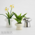 Ceramic Flower Pot Modern Creative Flower Pot Containers for Plants and Flower Desktop Flower Pot Hydroponic Simple Ins Matte Basin Table Decoration