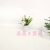 Artificial/Fake Flower Bonsai Ceramic Basin Green Plant Variety Daily Use Ornaments