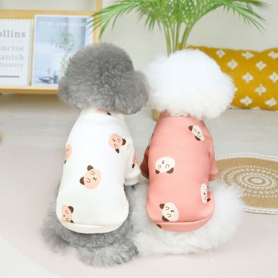 2022 Big Head Bear Small Sweater Thick Version Milk Silk Composite Sweater Dog Clothes Cute Autumn Pet Clothing
