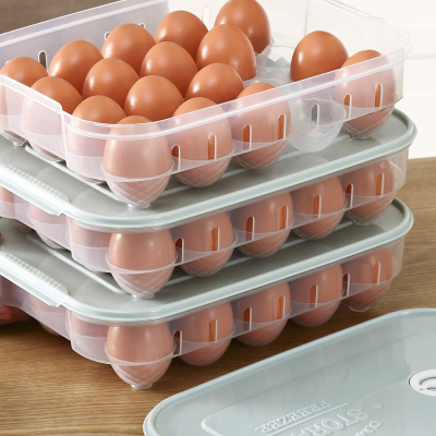 20-Grid Egg Storage Box