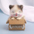 Cat Meow Xiaole Car Decoration Creative Car Interior Shaking Head Ornament Cute Pet Lucky Cat Simulation Car Accessories