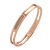 Rose Gold Bracelet Titanium Steel Ornament Stainless Steel Jewelry CNC Inlaid Fourteen Zircon Easy to Open and Close