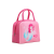 Insulated Bag Ice Pack Fresh-Keeping Bag Lunch Bag Picnic Bag Lunch Box Bag Picnic Bag Picnic Bag with Lunch Bag