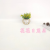 Artificial/Fake Flower Bonsai Iron Frame Gold-Plated Basin Green Plant Grass Daily Decorations