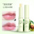 Sumei Plain Plant Chapstick Moisturizing Lip Student Male and Female Lip Care Lip Balm in Stock Wholesale