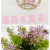 Artificial/Fake Flower Bonsai Iron Frame Gold-Plated Basin Green Plant Grass Daily Decorations