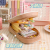 New Pencil Case Large Capacity Pencil Case Stationery Case Transparent Pencil Case Pencil Case Pencil Box Stationery Box