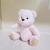 Lina Bear Irina Teddy Bear Teddy Doll Plush Toys Clothes Can Be Worn for 30-50 Yuan