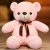 Plush Toy Teddy Bear Doll Large Hugging Bear Ragdoll Bed Pillow Get Girls Birthday Gifts Free