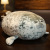 Cross-Border Japanese Osaka Simulation Seal Pillow Popular Soft Seal Figurine Doll Aquarium Plush Toy