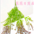 Artificial/Fake Flower Bonsai 5 Fork Green Plant Leaves Wall Hanging Daily Decorations