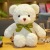 9-Inch 30cm Floor Push Plush Toy 9 Yuan 9 Doll Prize Claw Doll Wedding Tossing Activity Gift Prizes