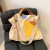 INS Special-Interest Design Stitching Canvas Bag Korean Style Women's Shoulder Bag Commuter Tote Versatile Casual Messenger Bag