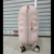 Suitcase Luggage Password Suitcase Luggage Zipper Suitcase Trolley Case Cartoon Boarding Bag