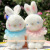 Boutique 8-Inch Prize Claw Dedicated Doll Wholesale Wedding Warm-up Drip Toy Activity Gifts