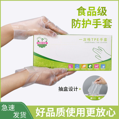 Disposable TPE Gloves Food Grade Protective Transparent Thickened TPE Gloves Dishwashing Catering Boxed Film Gloves