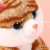Electric Plush Toy Singing Christmas Toy Cat Christmas Cat Cute Plush Christmas Doll Hot Selling Foreign Trade