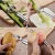 [Peeler + Slicer Dual-Use] Kitchen Potato Shredder Slicer Device Household Fruit Coring Artifact Peeler