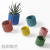 Northern European-Style Cement Flower Pot Matte Fashion Simple Artistic Personality Indoor Green Radish Bonsai Succulent round with Holes