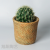 Cement Flower Pot Nordic Style Simple Creative Personality Large Diameter Green Plant Pot Succulent Rattan