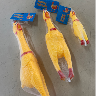 Pet toys call the chicken