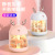 New Cute Pet USB Mini Humidifier Home Mute Office Desktop Small Antlers Air Atomization Humidifier