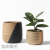 Nordic New Ins Style Retro Creative Color Painted Cement Flower Pot Indoor Succulent Potted Green Radish