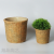 Cement Flower Pot Nordic Style Simple Creative Personality Large Diameter Green Plant Pot Succulent Rattan