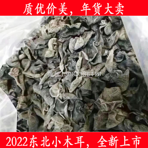 2022 new listing hot sale northeast super small fungus small bowl ear autumn fungus hot pot ingredients new year goods stall wholesale