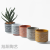 Nordic Cement Flower Pot Ceramic Machine Carving Fashion Simple Artistic Personality Retro Indoor Rose Green Radish Bonsai Succulent